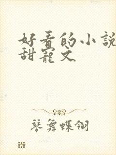 好看的小说短篇甜宠文