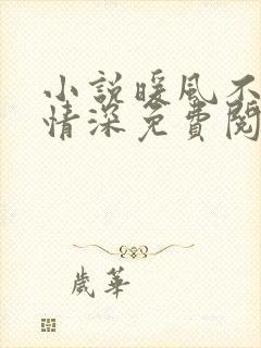 小说暖风不及你情深免费阅读