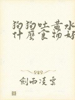 狗狗吐黄水后吃什么食物好