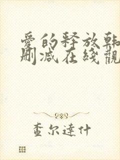 爱的释放韩国无删减在线观看