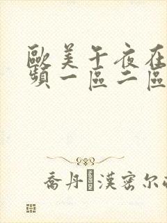 欧美午夜在线视频一区二区