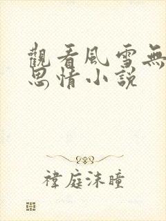 观看风雪无尽相思情小说