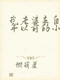 我老婆来自一千年以前的小说txt