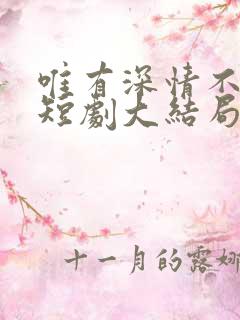 唯有深情不可负短剧大结局