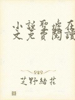 小说圣墟在线全文免费阅读