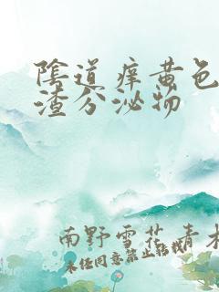 阴道痒黄色豆腐渣分泌物