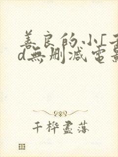 善良的小[子hd无删减电影