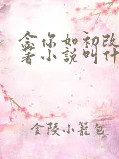 念你如初改编原著小说叫什么