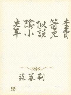 光阴似箭李艳傅平小说免费阅读