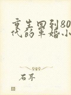 重生回到80年代的军婚小说