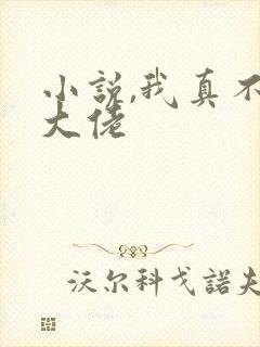 小说,我真不是大佬