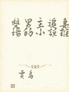 双男主追妻火葬场的小说推荐