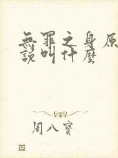 无罪之身原著小说叫什么