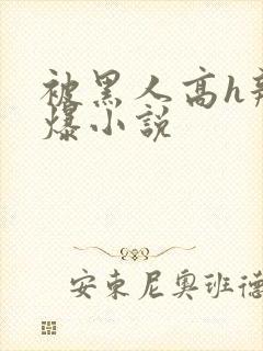 被黑人高h辣文爆小说