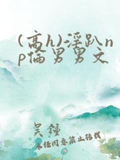 (高h)淫趴np伦男男文