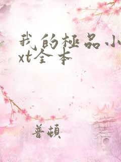 我的极品小姨txt全本