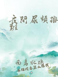 夜间尿频排尿困难