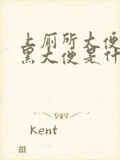 上厕所大便拉出黑大便是什么情况