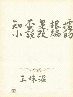 知否是根据什么小说改编的