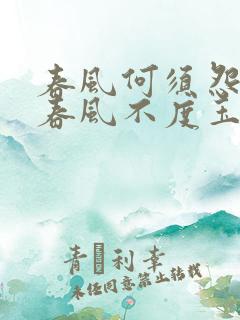 春风何须怨杨柳春风不度玉门关的意思