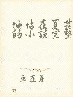 他站在夏花绚烂的小说完整