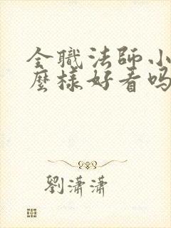 全职法师小说怎么样好看吗