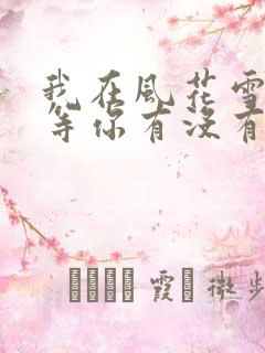 我在风花雪月里等你有没有续集