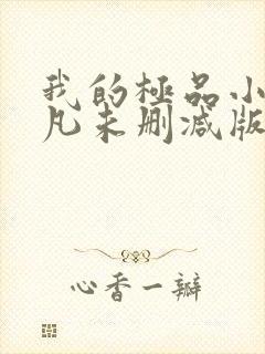 我的极品小姨叶凡未删减版