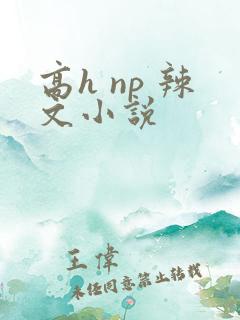 高h np 辣文小说
