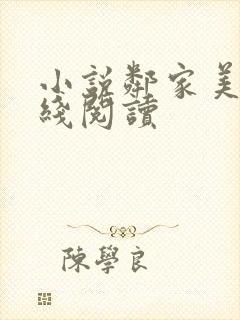 小说邻家美姨在线阅读