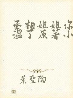 丞相姐姐你又红温了原著小说