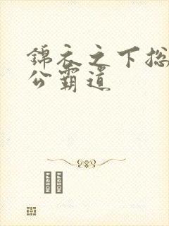 锦衣之下总裁老公霸道