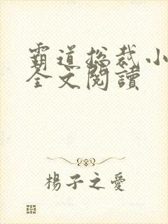 霸道总裁小萌妻全文阅读