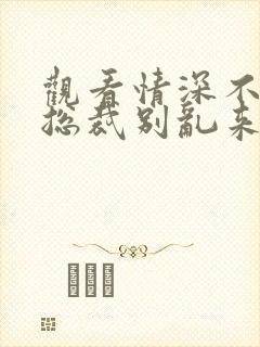 观看情深不负:总裁别乱来小说