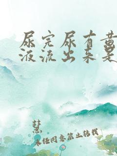 尿完尿有黄色粘液流出来是怎么回事?