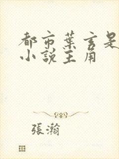 都市叶玄是哪本小说主角