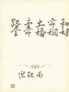 路旁土命和剑锋金命婚姻好吗