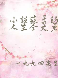 小说苏柔的风流人生全文免费阅读