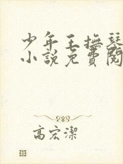 少年王抚琴的人小说免费阅读全文作者