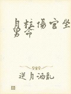 月柱伤官坐偏财男命