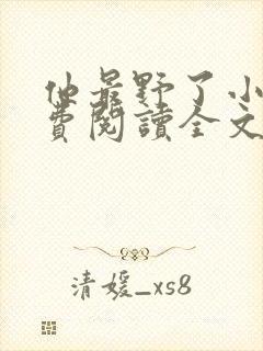 他最野了小说免费阅读全文