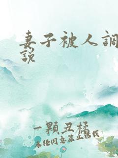 妻子被人调教小说