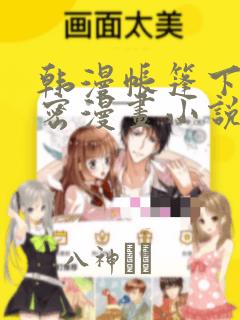 韩漫帐篷下的秘密漫画小说：结局+番外
