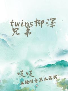 twins柳泽兄弟