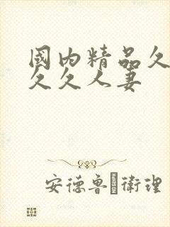 国内精品久久久久久人妻