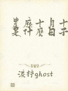 农历十月十九日是什么日子