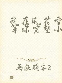 我在风花雪月里等你完整小说