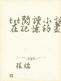 txt阅读小说在记忆的尽头等你
