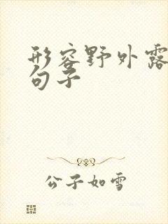 形容野外露营的句子