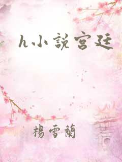 h小说宫廷